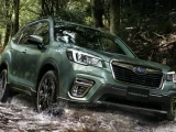 Subaru Forester 12